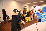 DSC_8925.JPG
